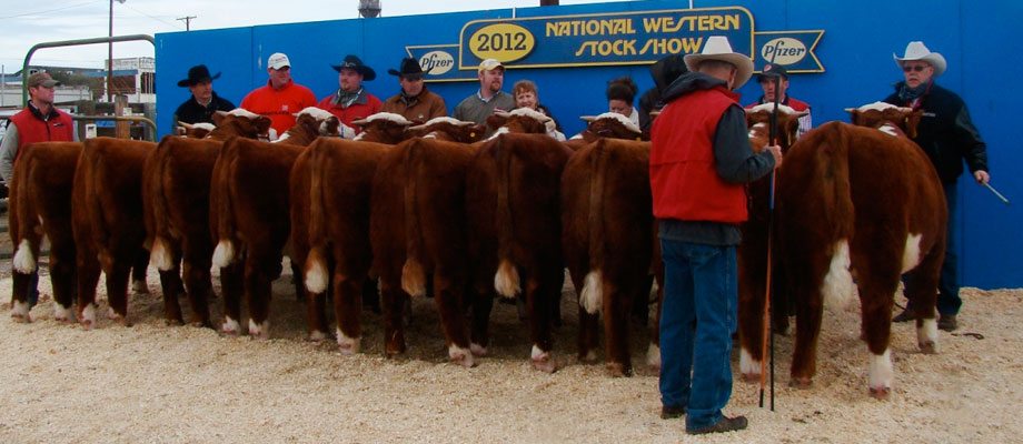 NATIONAL WESTERN